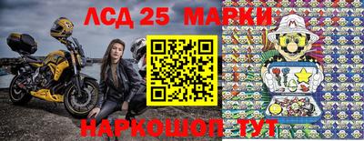 крисы Гай
