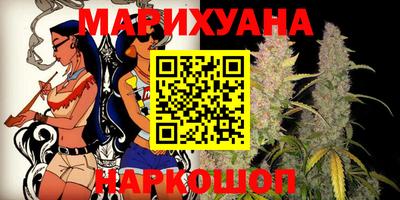 крисы Гай