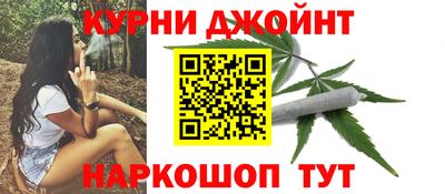 крисы Гай