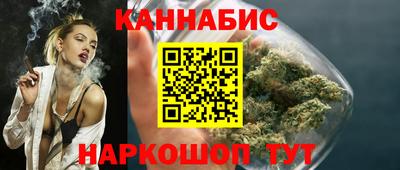 крисы Гай