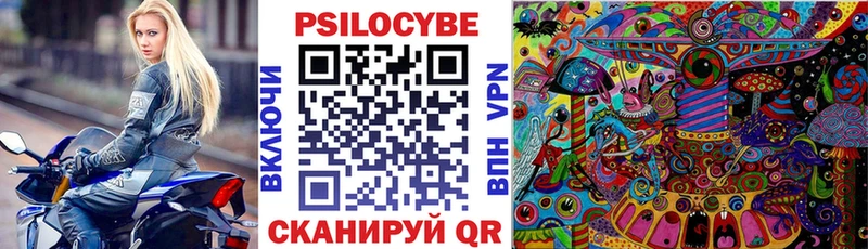 Галлюциногенные грибы Cubensis  где найти наркотики  ОМГ ОМГ ССЫЛКА  Киреевск 