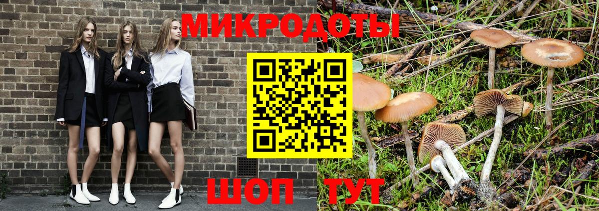 Галлюциногенные грибы MAGIC MUSHROOMS Киреевск
